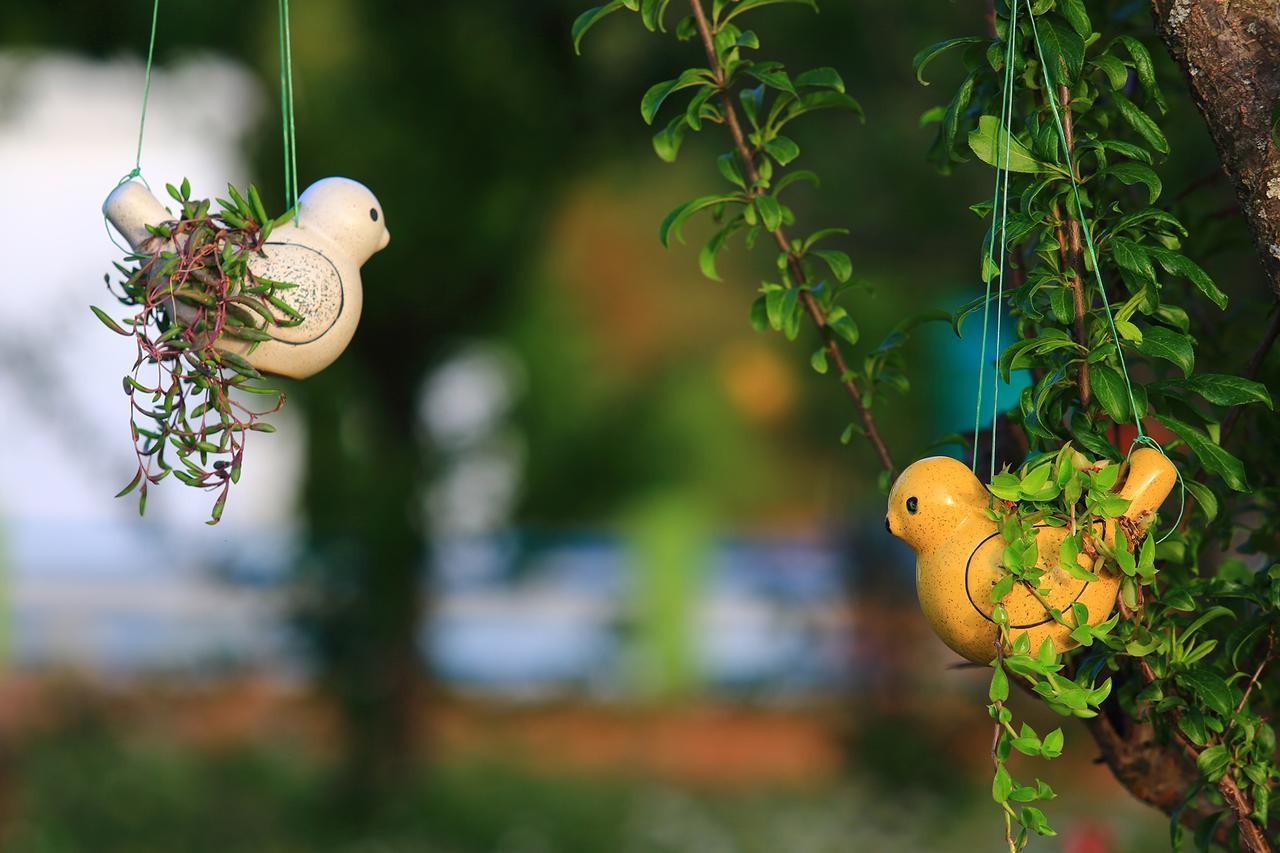 Chirping Orchard, Mukteshwar Bed & Breakfast エクステリア 写真